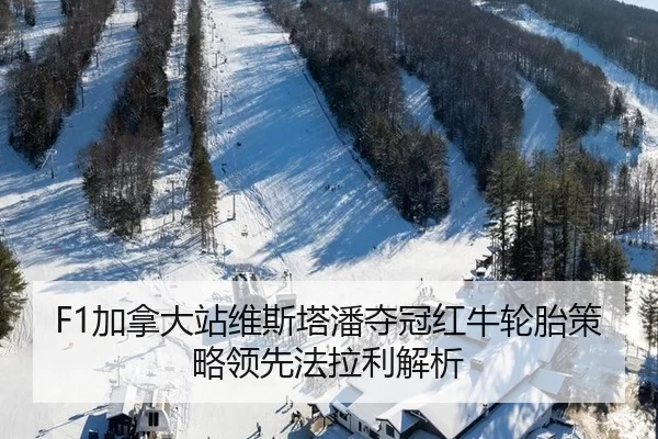 jia-na-da-zhan-wei-si-ta-pan-duo-guan-hong-niu-lun-tai-ce-lve-ling-xian-fa-la-li-jie-xi-2-651.jpg